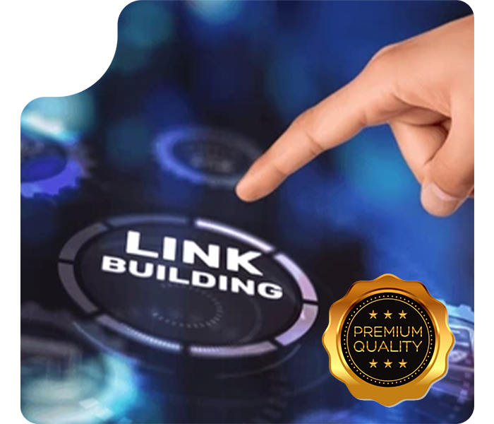 premium link building service